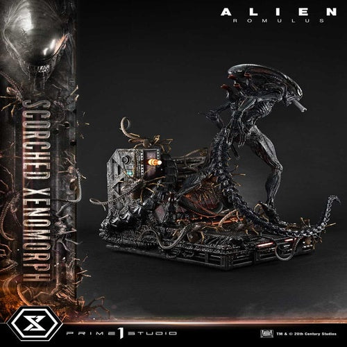 Alien: Romulus statuette Museum Masterline XL 1/3 Scorched Xenomorph Deluxe Bonus Version 98 cm