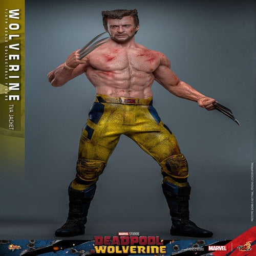 Deadpool & Wolverine Movie Masterpiece Actionfigur 1/6 Wolverine (TVA Jacket Version) 31 cm