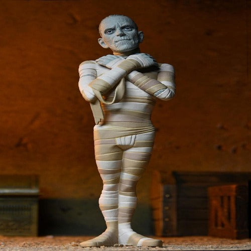 Wednesday Toony Terrors assortiment figurines 15 cm Series 10 (12)