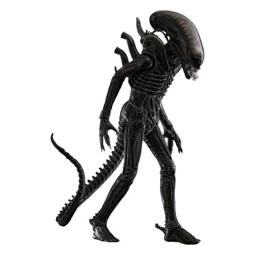 Alien figurine Movie Masterpiece 1/6 Big Chap 36 cm