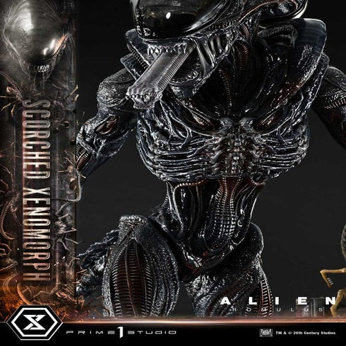 Alien: Romulus statuette Museum Masterline XL 1/3 Scorched Xenomorph Deluxe Bonus Version 98 cm