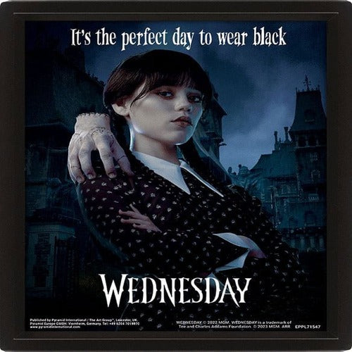 Wednesday poster encadré effet 3D Perfect Day 26 x 20 cm