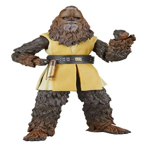 Star Wars: The Acolyte Black Series Actionfigur Jedi Master Kelnacca 15 cm