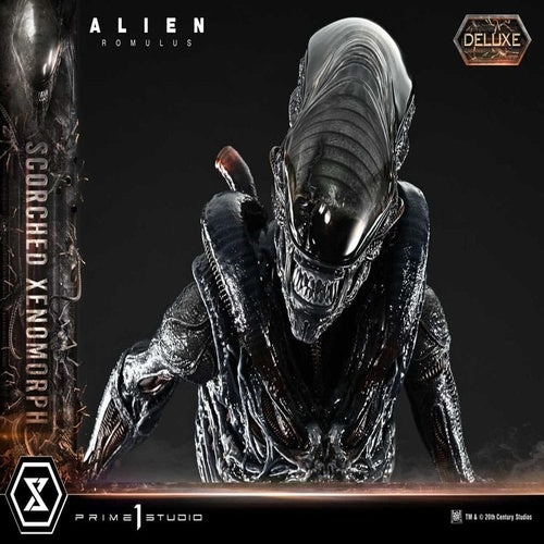 Alien: Romulus statuette Museum Masterline XL 1/3 Scorched Xenomorph Deluxe Bonus Version 98 cm