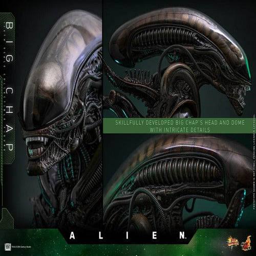 Alien figurine Movie Masterpiece 1/6 Big Chap 36 cm