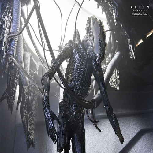 Alien: Romulus figurine Deluxe Suspended Lab Xenomorph XX121 18 cm