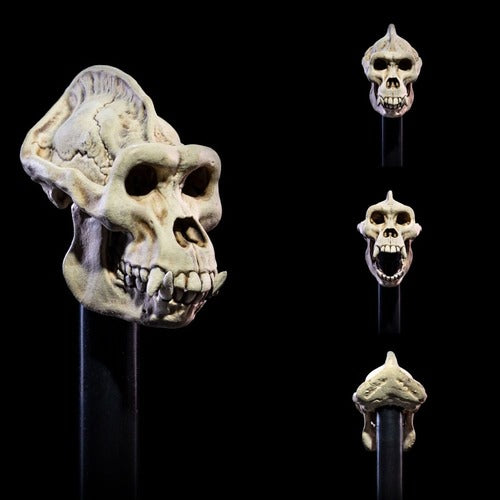 Mythic Legions: All Stars 6 accessoires pour figurines Undead Heads Pack