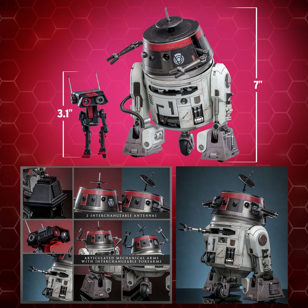 Star Wars figurine set 1/6 Chopper (C1-10P&trade;) & BD-1&trade; (Imperial Disguise) 18 cm & 8 cm