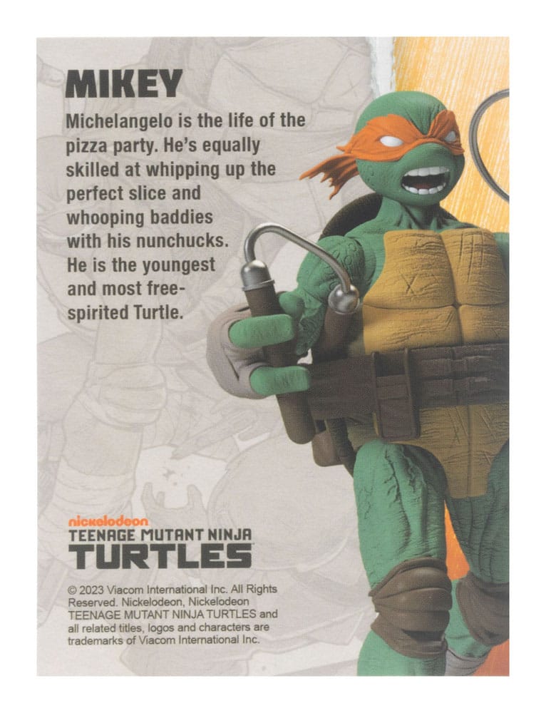 Tortues Ninja figurine BST AXN Michelangelo (IDW Comics) 13 cm
