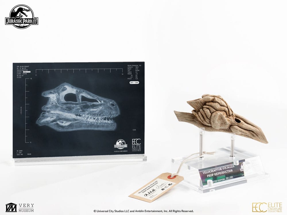Jurassic Park 3 Réplique Prop 1/1 Velociraptor Resonance Chamber 18 cm