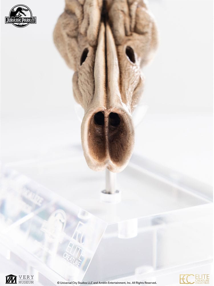 Jurassic Park 3 Réplique Prop 1/1 Velociraptor Resonance Chamber 18 cm