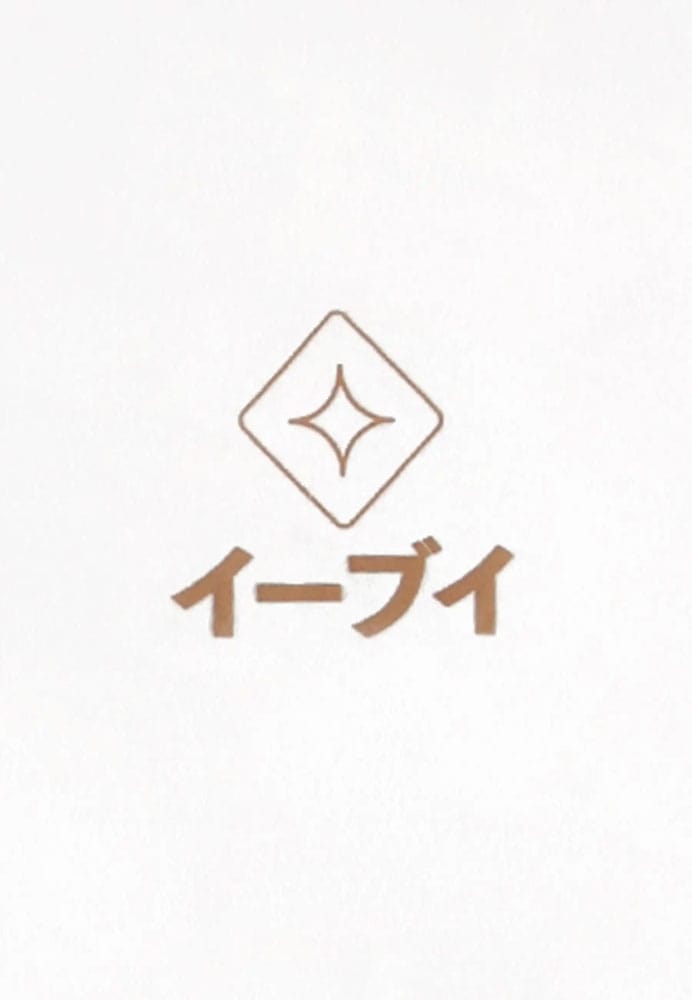 Pokémon T-Shirt Évoli (L)