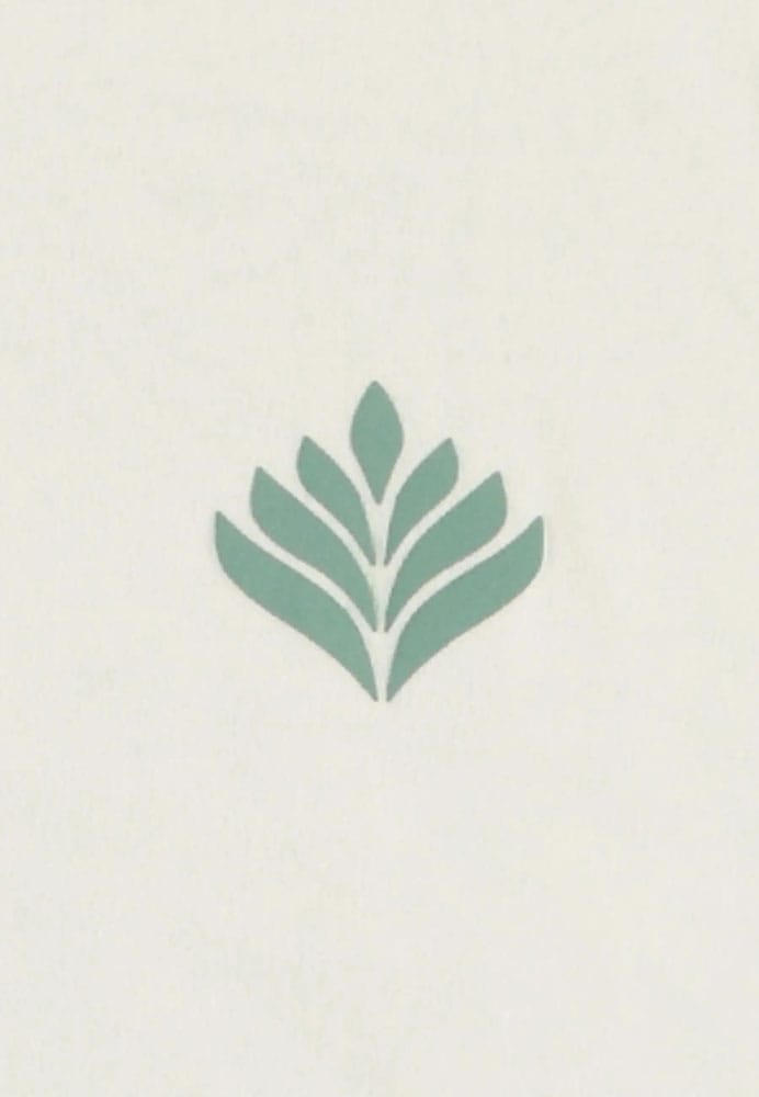 Pokémon Tank Top Bulbizarre (S)