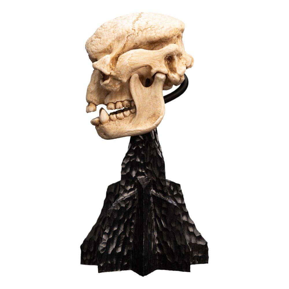 Le Seigneur des Anneaux statuette Skull of a Cave Troll 21 cm