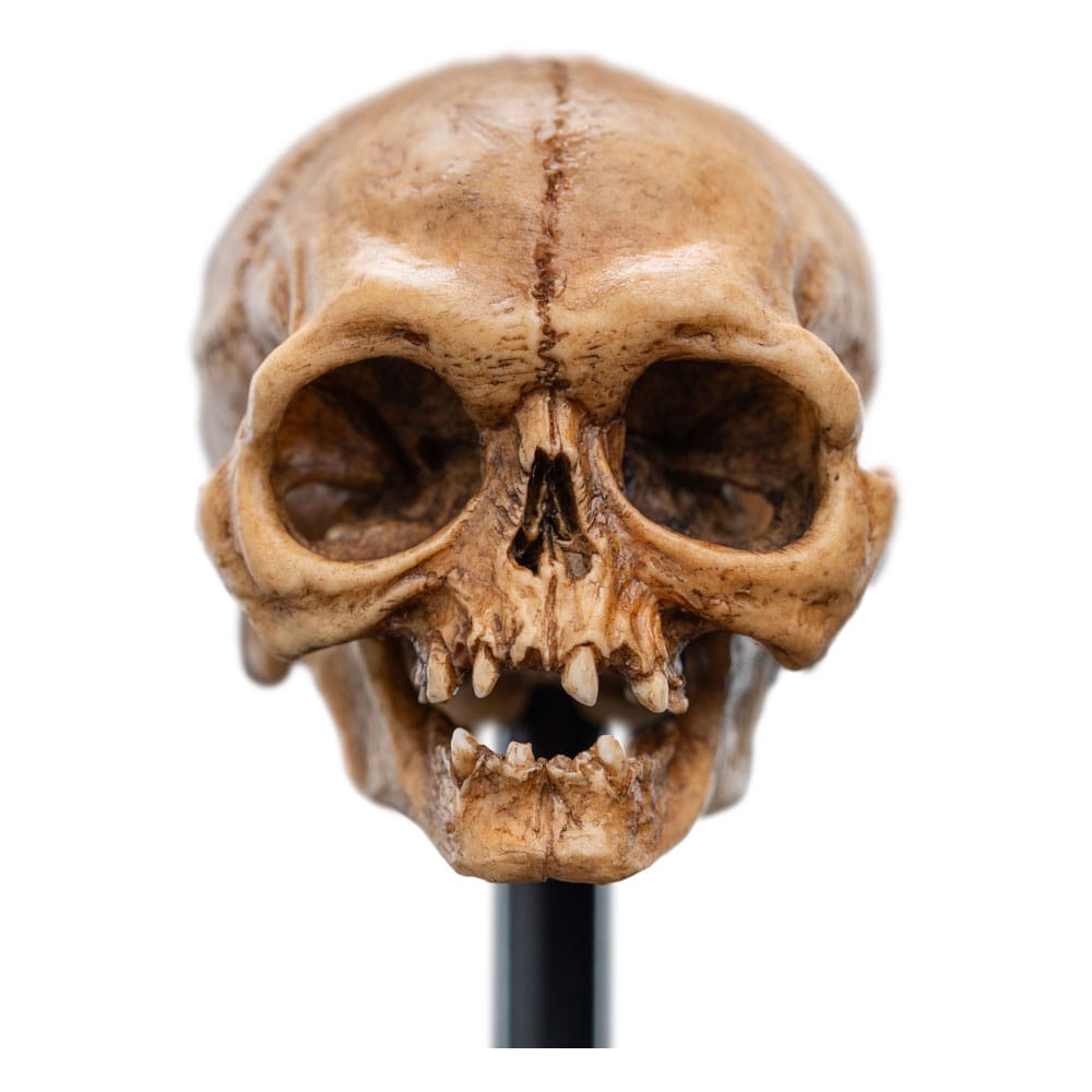 Le Seigneur des Anneaux statuette Skull of Gollum 13 cm