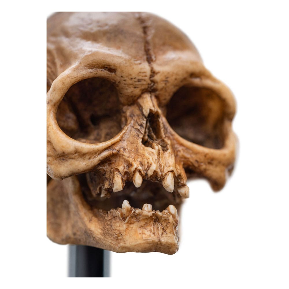Le Seigneur des Anneaux statuette Skull of Gollum 13 cm