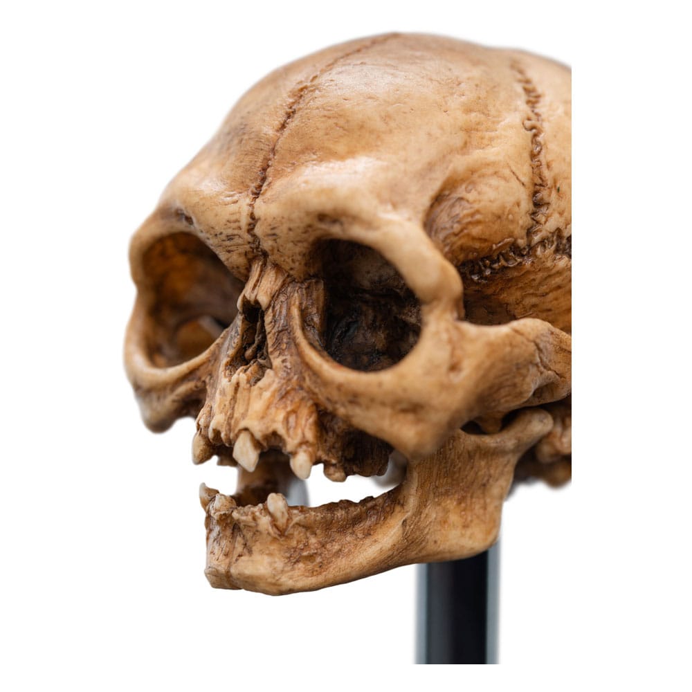 Le Seigneur des Anneaux statuette Skull of Gollum 13 cm