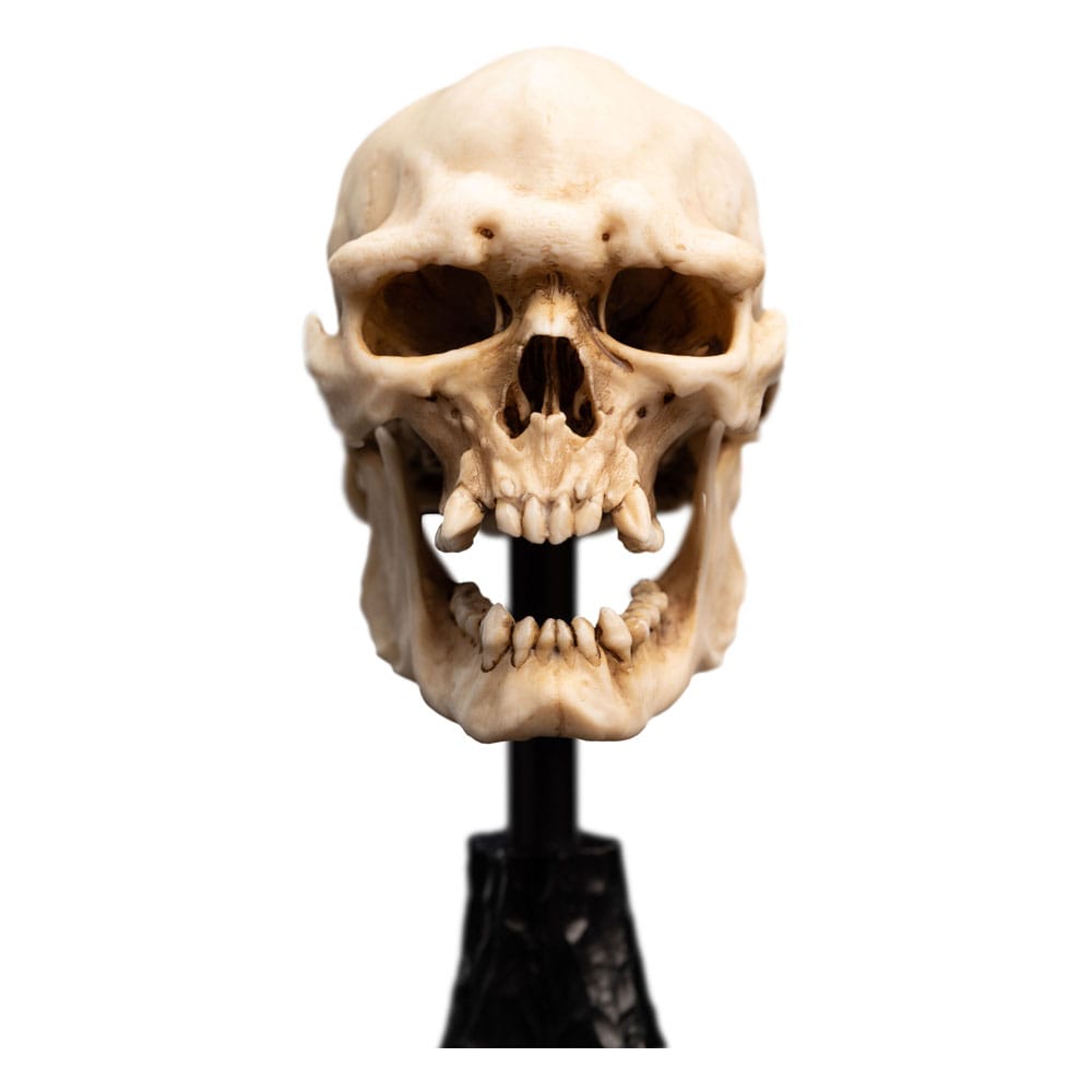 Le Seigneur des Anneaux statuette Skull of a Mordor Orc 14 cm