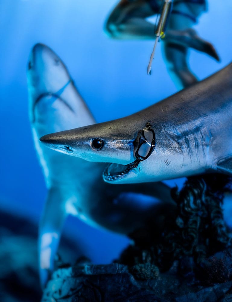 Tomb Raider statuette 1/4 Lara Croft-Quest for Avalon 74 cm