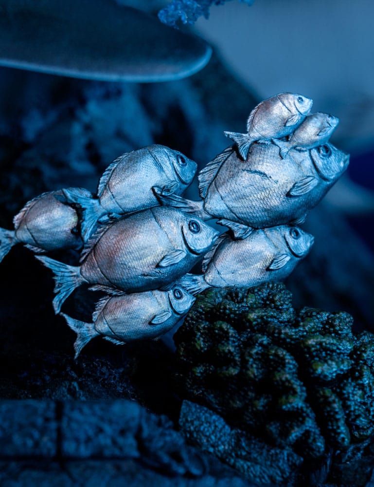 Tomb Raider statuette 1/4 Lara Croft-Quest for Avalon 74 cm