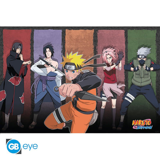 Naruto Shippuden - Poster - Naruto et Alliés